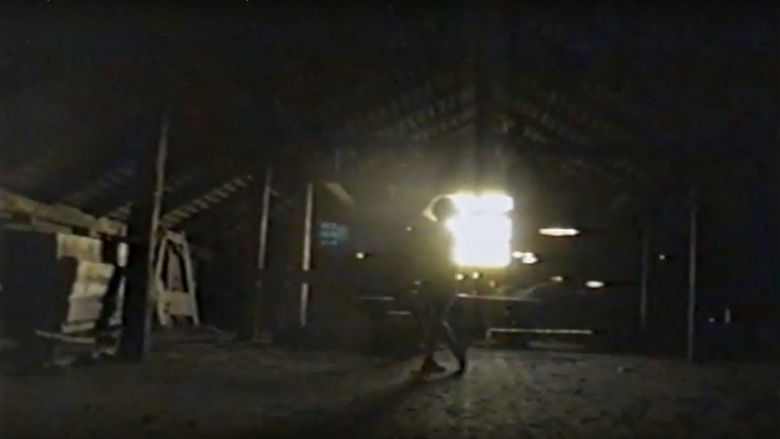 кадр из фильма Flickan med videokameran