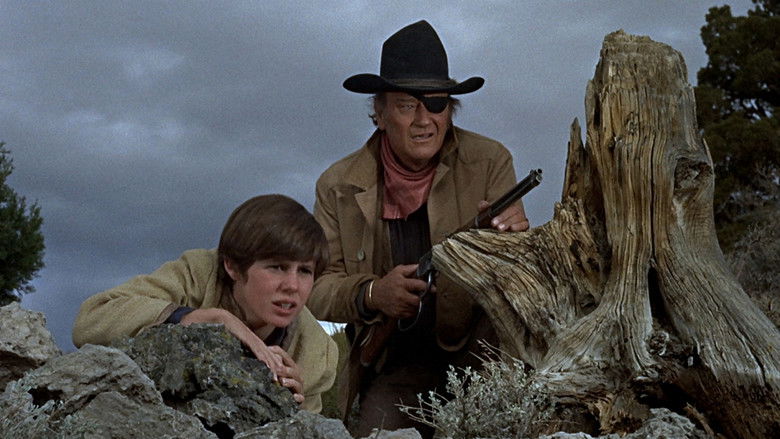 кадр из фильма Настоящее мужество