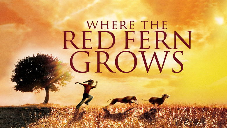 кадр из фильма Where the Red Fern Grows