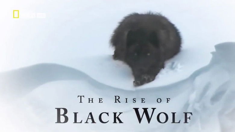кадр из фильма The Rise of Black Wolf