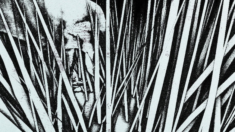 кадр из фильма 摸象