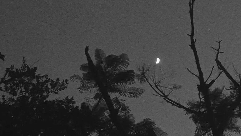 кадр из фильма NAUSEA