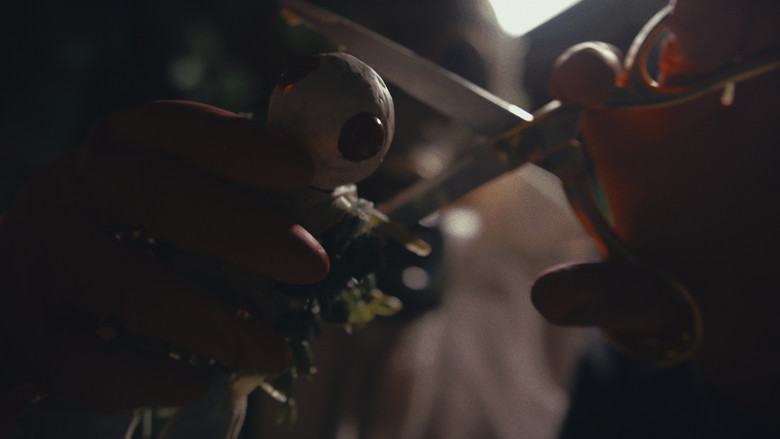 кадр из фильма The Plant Boy