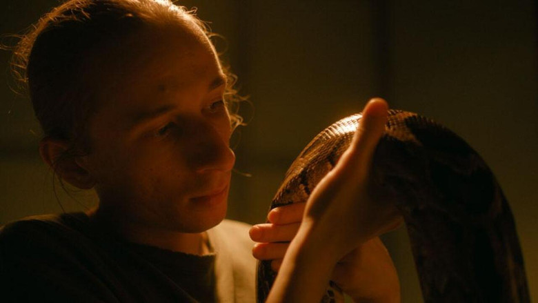 кадр из фильма Árni