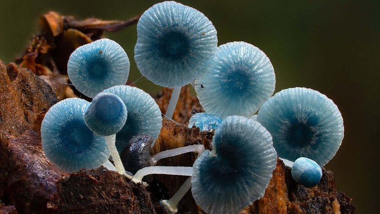 кадр из фильма Follow the Rain