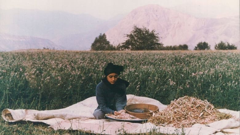 кадр из фильма درخت گلابی