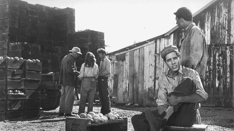 кадр из фильма The Lawless