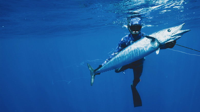 кадр из фильма Акула против тунца