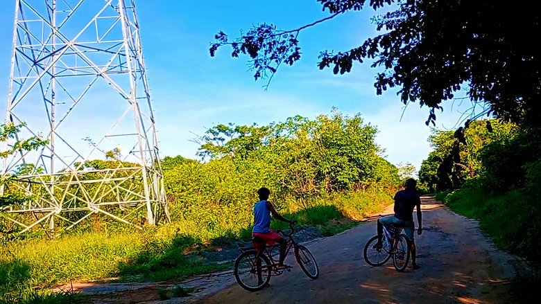 кадр из фильма Árvores e Bicicletas