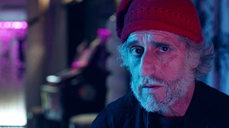 Волшебная ночь