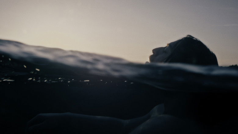 кадр из фильма Anche il riccio respira