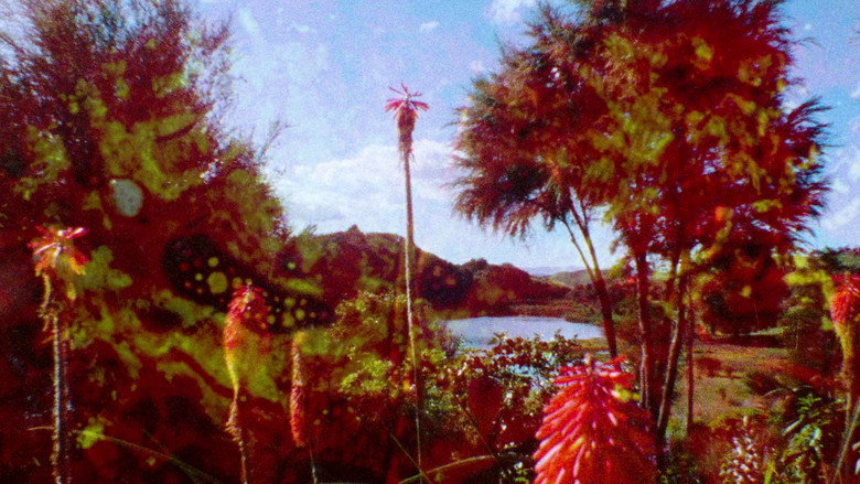 кадр из фильма When It Was Blue