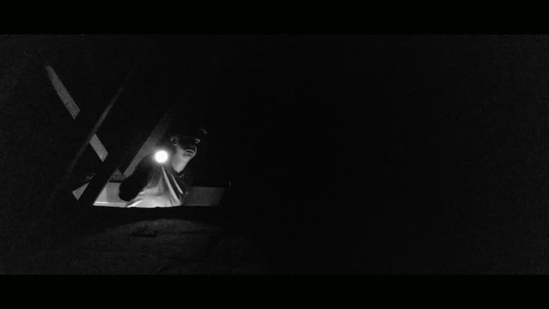 кадр из фильма Et Sandneskvad