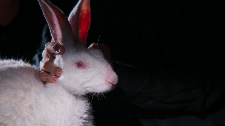 кадр из фильма 編號314