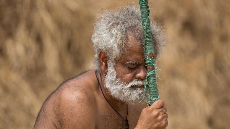 кадр из фильма कड़वी हवा