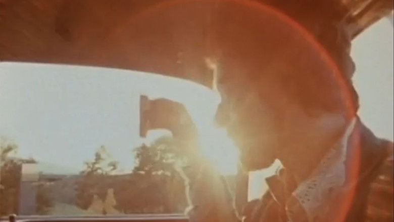 кадр из фильма Harmonica