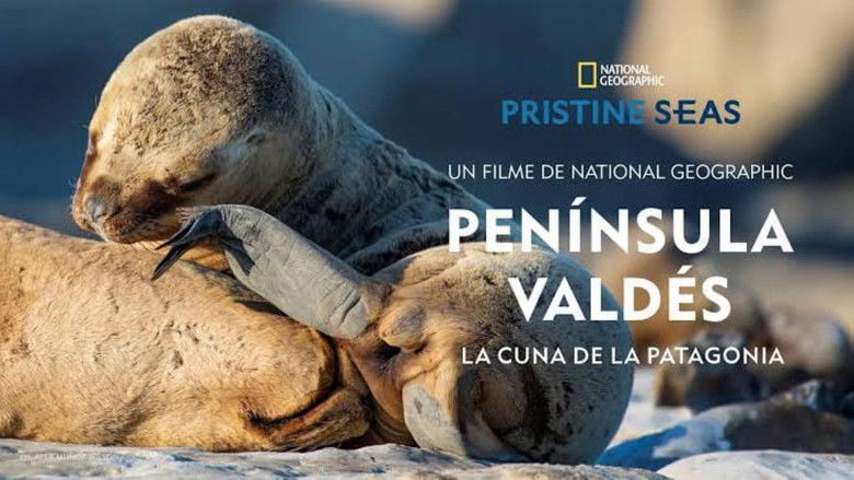 кадр из фильма Península Valdés: La Cuna de la Patagonia