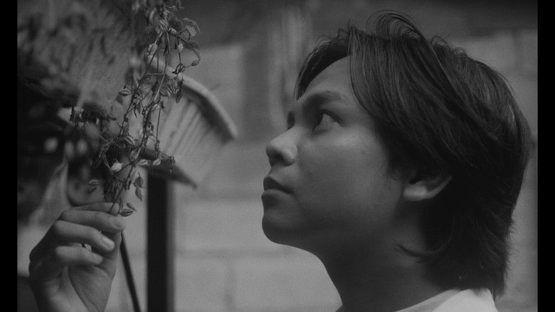 кадр из фильма When We Cross