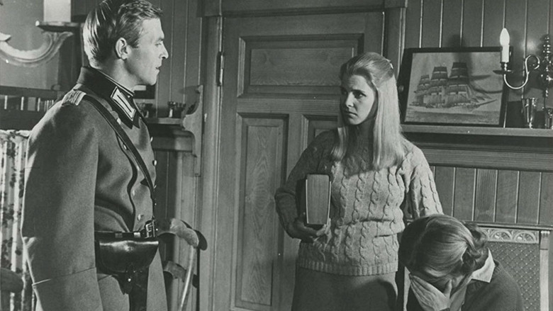 Снежное сокровище