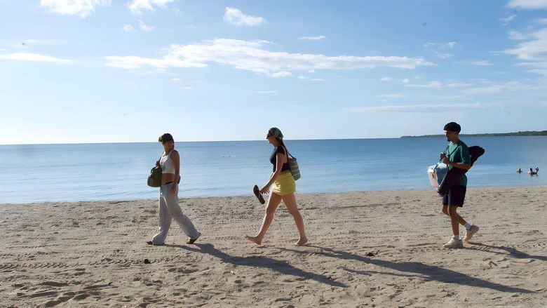 кадр из фильма 303