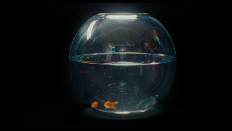 кадр из фильма Zodiac Killer Project