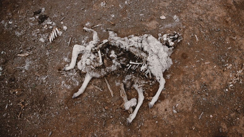 кадр из фильма !Aitsa