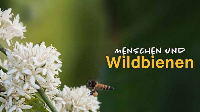 кадр из фильма Menschen und Wildbienen - Ein konfliktreiches Zusammenleben