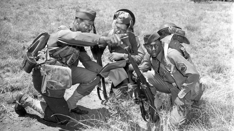 кадр из фильма The Negro Soldier