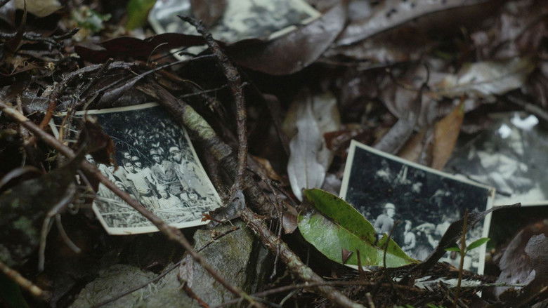 кадр из фильма 複層之森