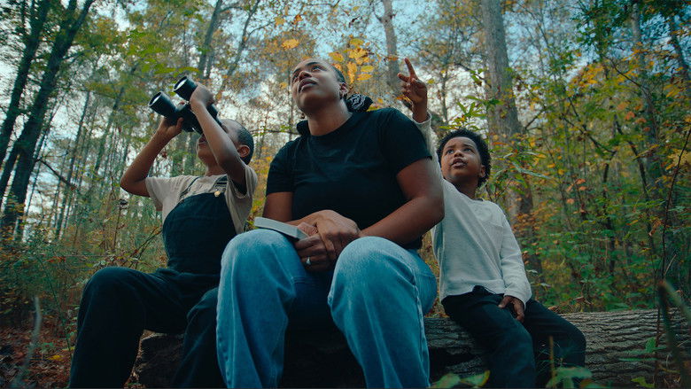 кадр из фильма The Boys and the Bees