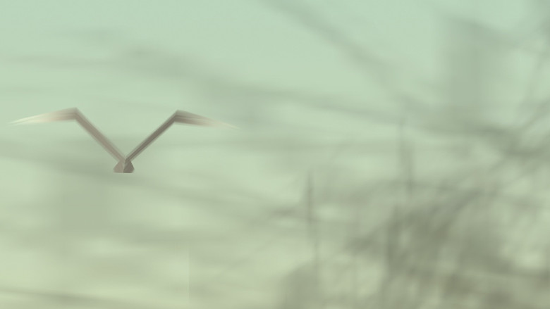 кадр из фильма Аналогія простору