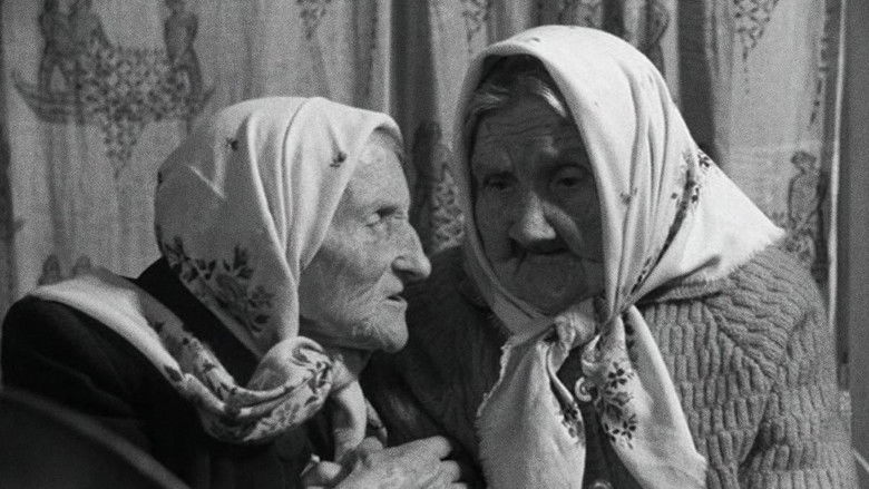 кадр из фильма Šimtamečių godos