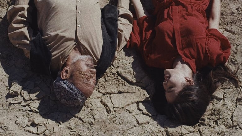 кадр из фильма Айгерим