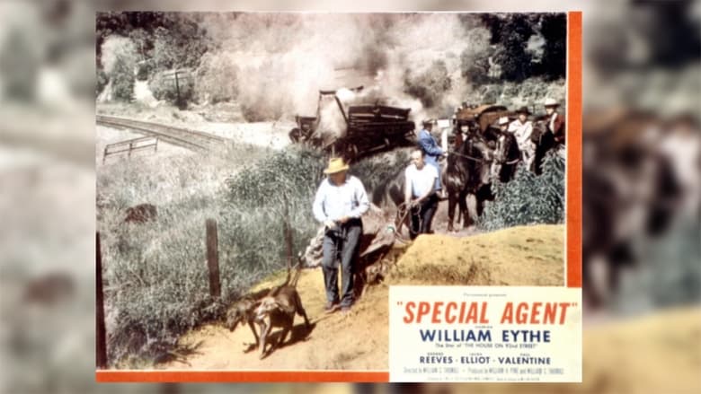 кадр из фильма Special Agent