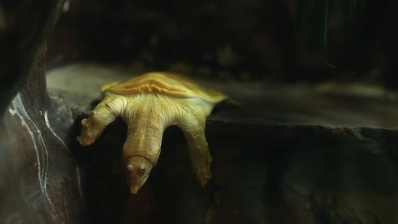 кадр из фильма Demos