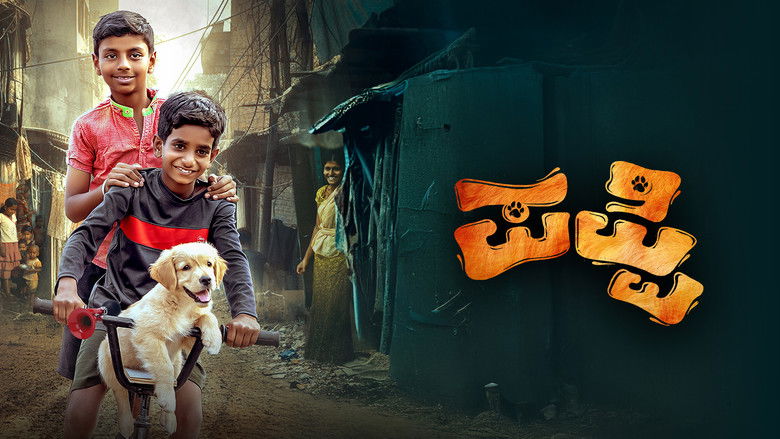 кадр из фильма Puppy