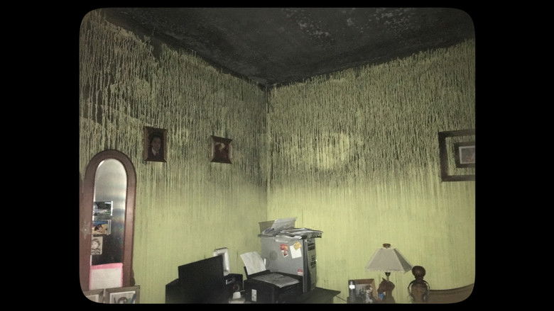 кадр из фильма La Cicatriz en el Piso de mi Cuarto