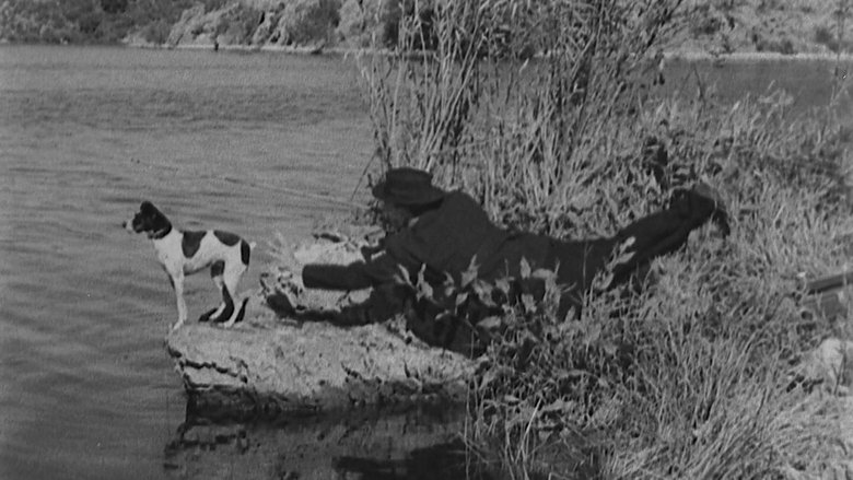 кадр из фильма The Timid Young Man