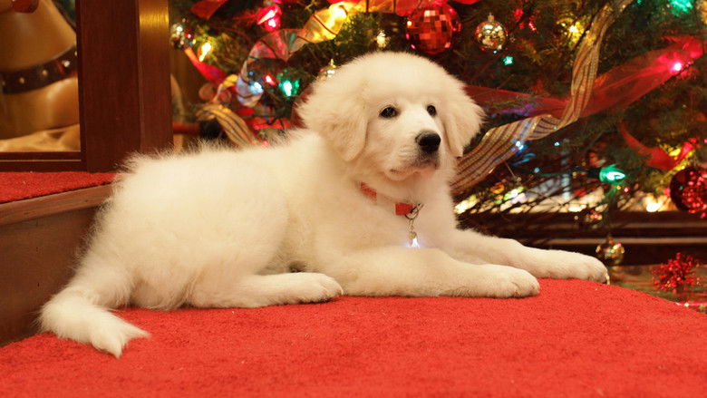 кадр из фильма В поисках Санта Лапуса