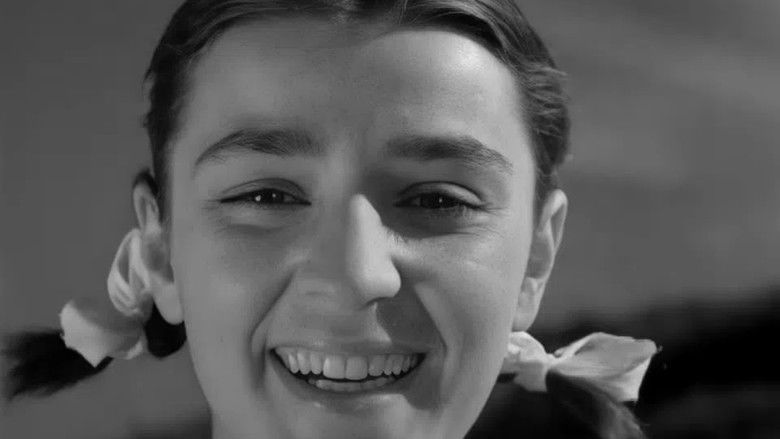 Междугородный поезд