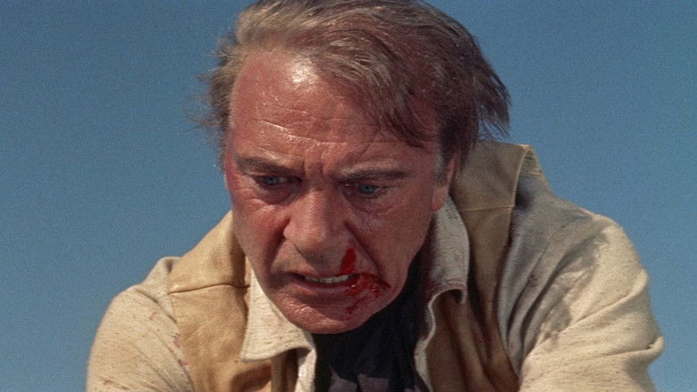 кадр из фильма Человек с запада