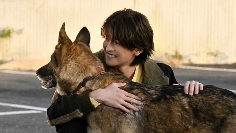 кадр из фильма 少年と犬