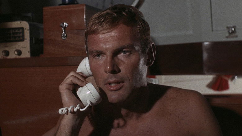 кадр из фильма The Girl Who Knew Too Much