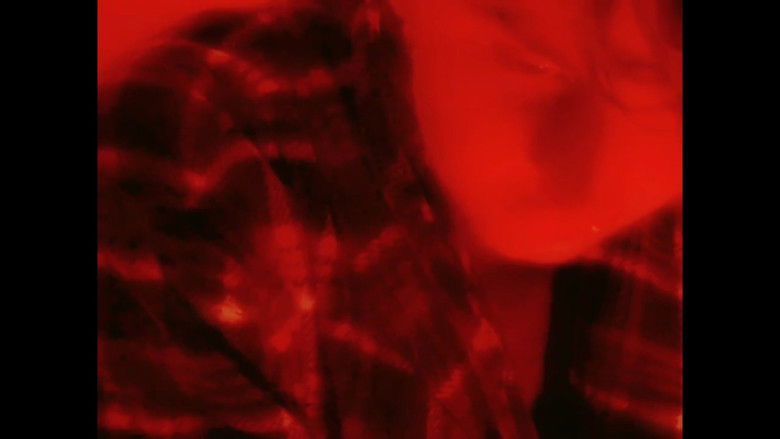 кадр из фильма The Yellow Days