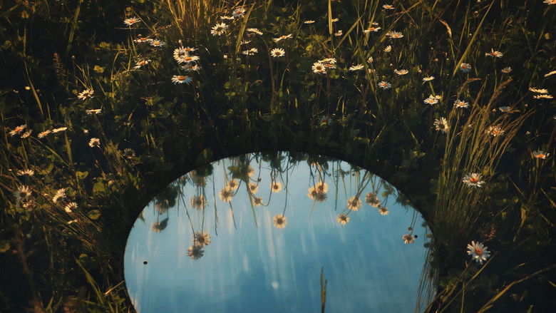 кадр из фильма giroscopio