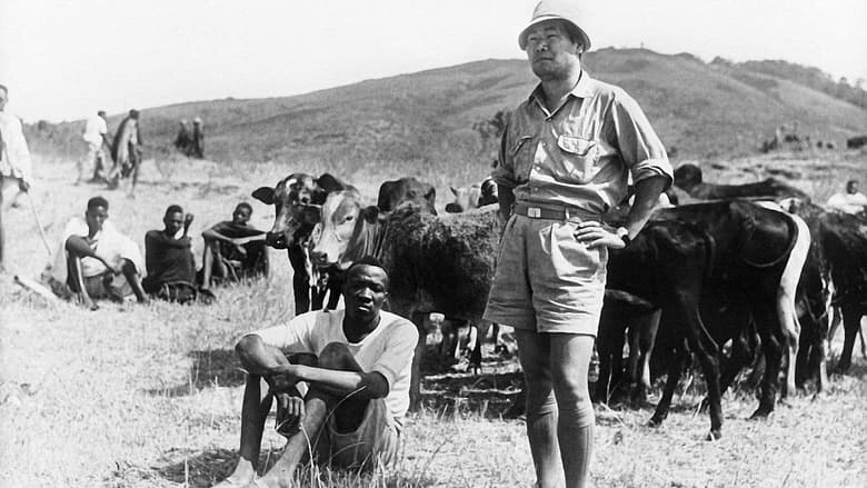 кадр из фильма ブワナ・トシの歌