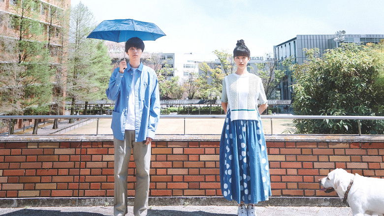 кадр из фильма 今日の空が一番好き、とまだ言えない僕は