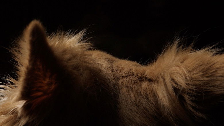 кадр из фильма Mutar