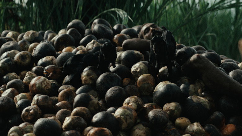 кадр из фильма রইদ