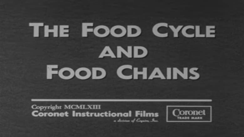 кадр из фильма The Food Cycle and Food Chains